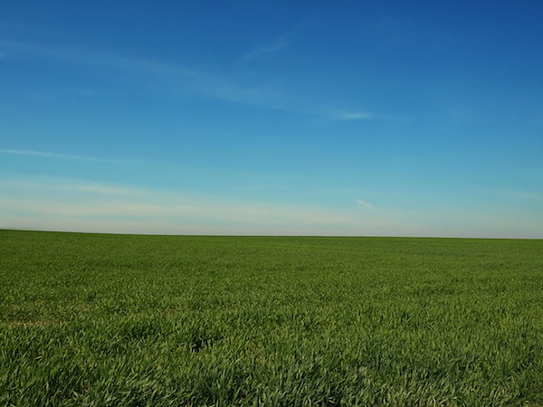 Domingo 15 de abril. Nuevos horizontes